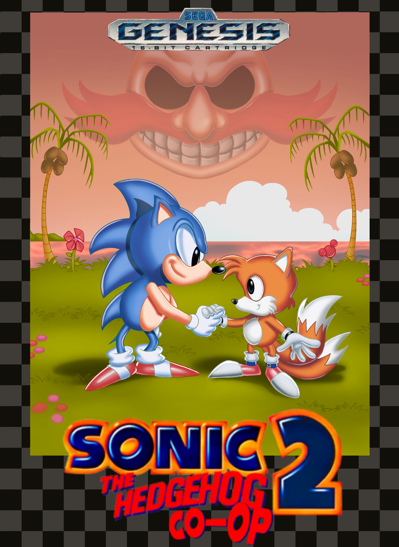 Sonic Hacking Contest The SHC2023 Contest Sonic 2 Co op Demo 