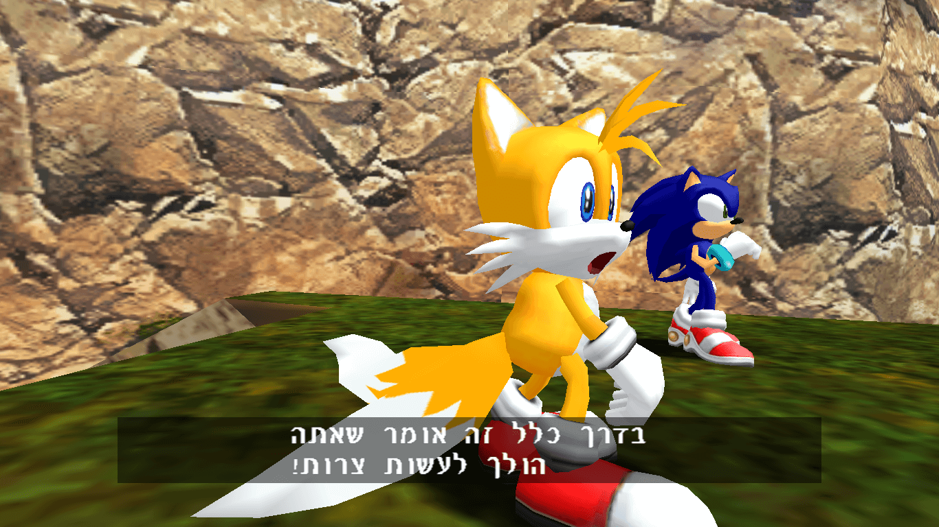 sonic adventure dx pc image messed up